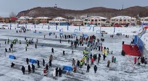 扬科勒支持黄黑军团争回桑乔